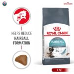 Royal Canin Hairball Care (2kg) Dry Makanan Kucing Dewasa - Feline Care Nutrition