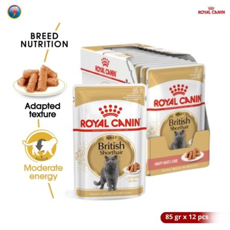 Royal Canin Adult British Shorthair 12X85gr 1 BOX Makanan Kucing Dewasa Wet 12X85gr - 1 Box
