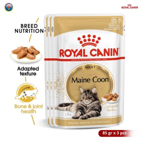 Royal Canin Maine Coon Adult 85g Wet Makanan Kucing Dewasa - Feline Breed Nutrition