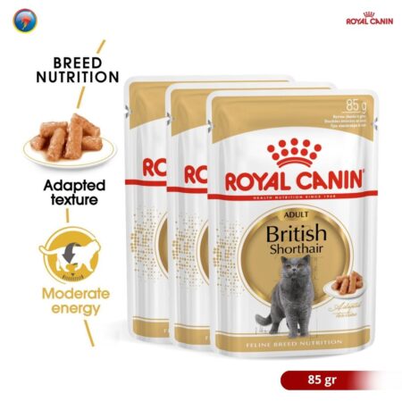Royal Canin British Shorthair Adult 85g Wet Makanan Kucing Dewasa - Feline Breed Nutrition