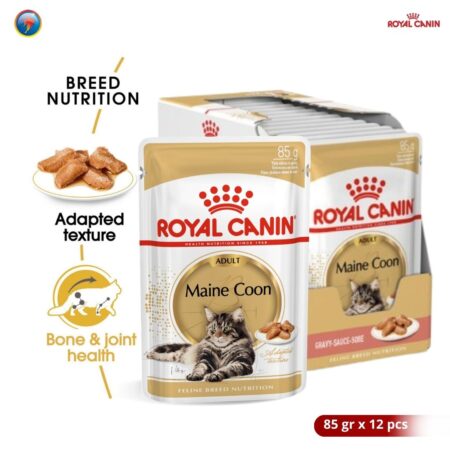 Royal Canin Adult Maine Coon Makanan Kucing Dewasa Maine Coon Wet 12x85gr - 1 Box