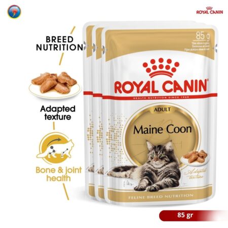Royal Canin Maine Coon Adult 85g Wet Makanan Kucing Dewasa - Feline Breed Nutrition