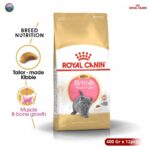Royal Canin British Shorthair Kitten 400gram x 12pcs Dry Makanan Anak Kucing - Feline Breed Nutrition