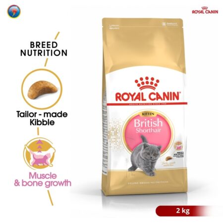 Royal Canin British Shorthair Kitten 2kg Dry Makanan Anak Kucing - Feline Breed Nutrition
