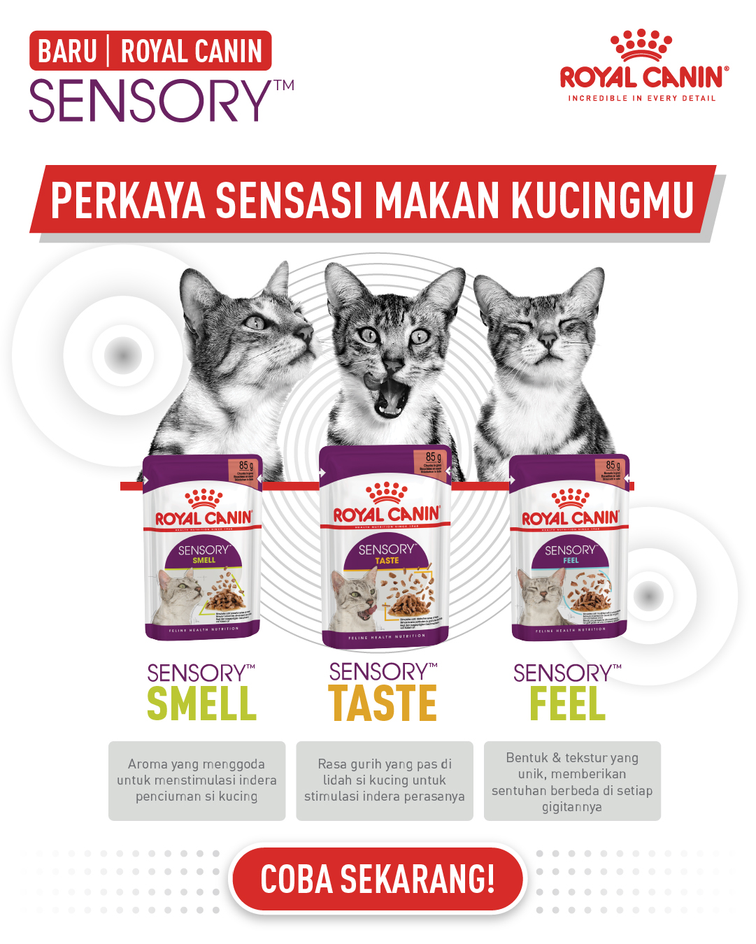 ROYAL CANIN SENSORY-IG POST-100